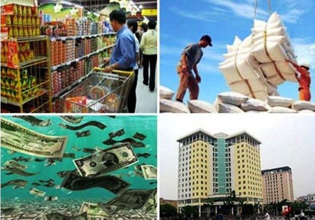 Quý 2, tăng trưởng kinh tế chưa lấy lại được đà phục hồi - ảnh 1